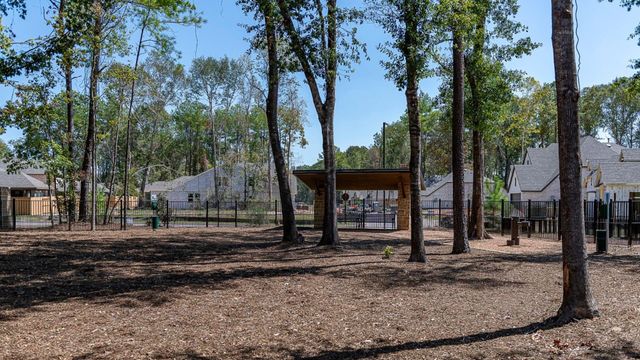 9034 Cliff Palace Drive, Porter, TX 77365