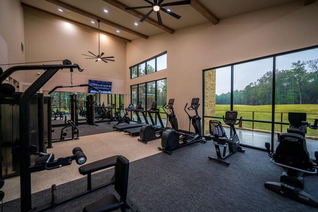 9034 Cliff Palace Drive, Porter, TX 77365