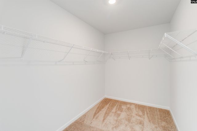 3953 Golden Crane Pass, Lexington, SC 29073