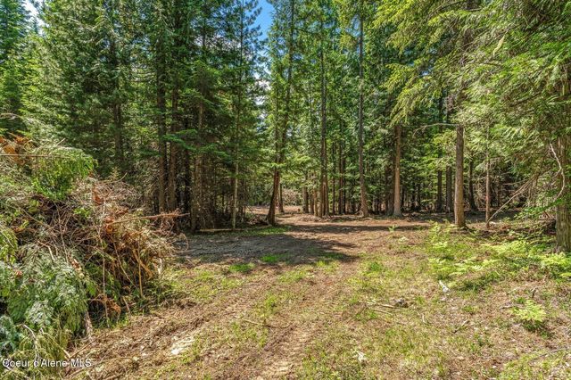 NKA Wandering Wolf Ridge, Lot 3, Clark Fork, ID 83811