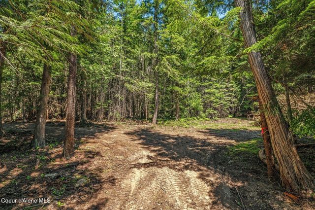 NKA Wandering Wolf Ridge, Lot 3, Clark Fork, ID 83811