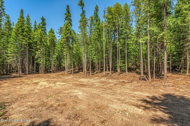 NKA Wandering Wolf Ridge, Lot 3, Clark Fork, ID 83811