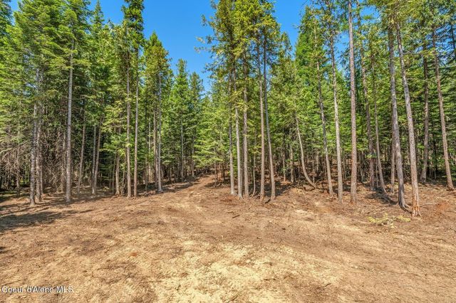 NKA Wandering Wolf Ridge, Lot 3, Clark Fork, ID 83811