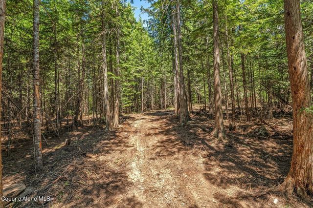 NKA Wandering Wolf Ridge, Lot 3, Clark Fork, ID 83811