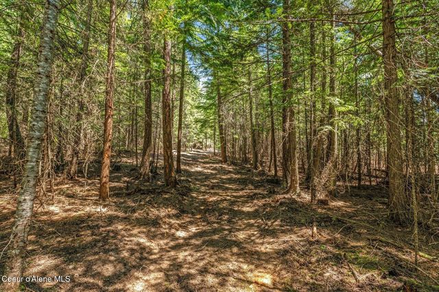 NKA Wandering Wolf Ridge, Lot 3, Clark Fork, ID 83811