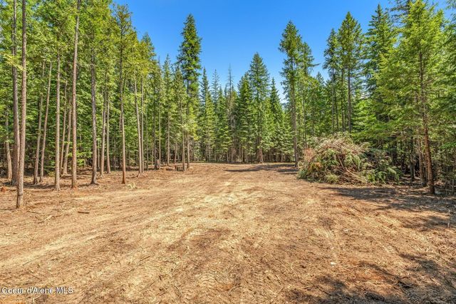 NKA Wandering Wolf Ridge, Lot 3, Clark Fork, ID 83811