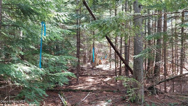 NKA Wandering Wolf Ridge, Lot 3, Clark Fork, ID 83811