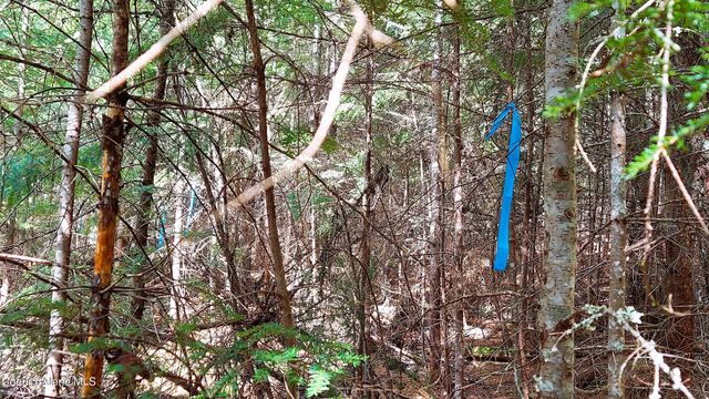 NKA Wandering Wolf Ridge, Lot 3, Clark Fork, ID 83811