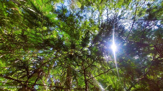 NKA Wandering Wolf Ridge, Lot 3, Clark Fork, ID 83811