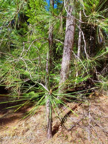 NKA Wandering Wolf Ridge, Lot 3, Clark Fork, ID 83811