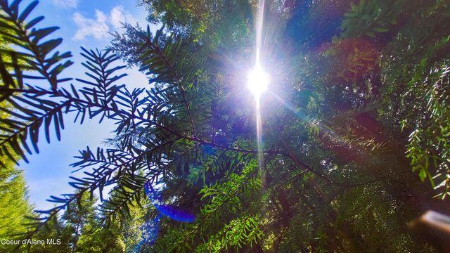 NKA Wandering Wolf Ridge, Lot 3, Clark Fork, ID 83811