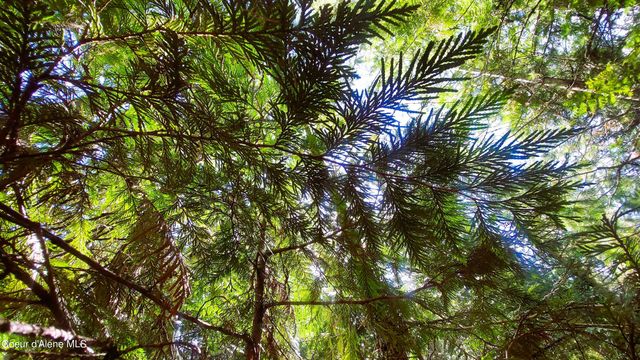 NKA Wandering Wolf Ridge, Lot 3, Clark Fork, ID 83811