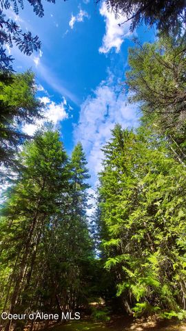 NKA Wandering Wolf Ridge, Lot 3, Clark Fork, ID 83811