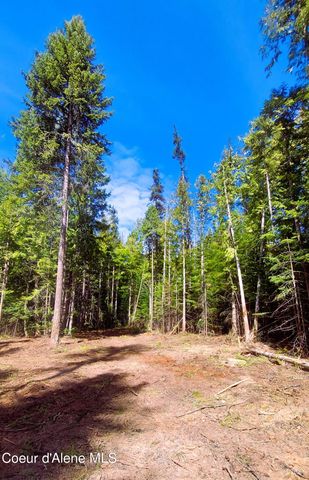 NKA Wandering Wolf Ridge, Lot 3, Clark Fork, ID 83811