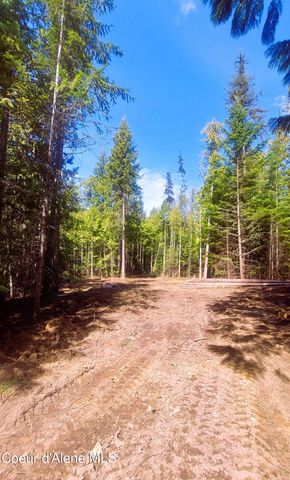 NKA Wandering Wolf Ridge, Lot 3, Clark Fork, ID 83811