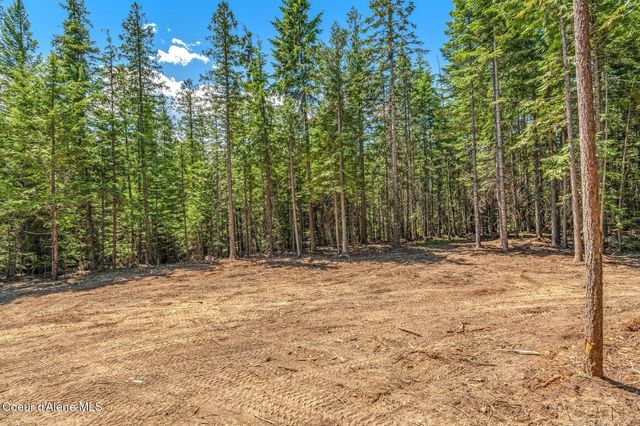 NKA Wandering Wolf Ridge, Lot 3, Clark Fork, ID 83811