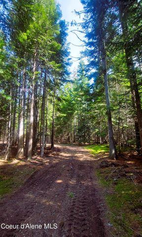 NKA Wandering Wolf Ridge, Lot 3, Clark Fork, ID 83811