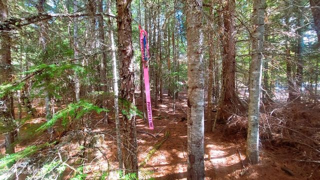 NKA Wandering Wolf Ridge, Lot 3, Clark Fork, ID 83811