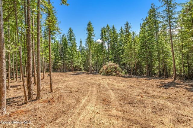 NKA Wandering Wolf Ridge, Lot 3, Clark Fork, ID 83811