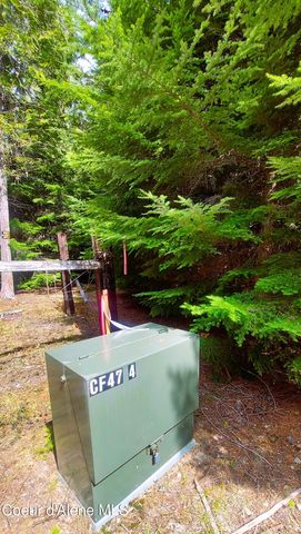 NKA Wandering Wolf Ridge, Lot 3, Clark Fork, ID 83811