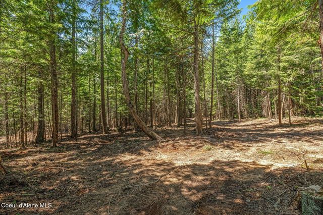 NKA Wandering Wolf Ridge, Lot 3, Clark Fork, ID 83811