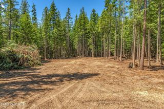 NKA Wandering Wolf Ridge, Lot 3, Clark Fork, ID 83811