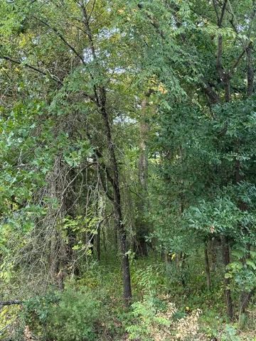132 Chapperall Drive, Mabank, TX 75156