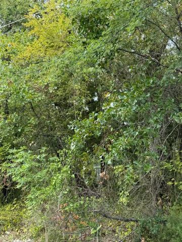 132 Chapperall Drive, Mabank, TX 75156