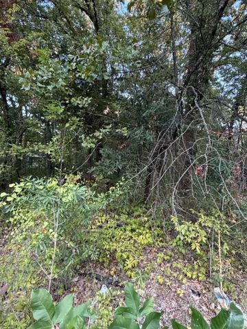 132 Chapperall Drive, Mabank, TX 75156