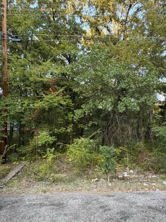 132 Chapperall Drive, Mabank, TX 75156