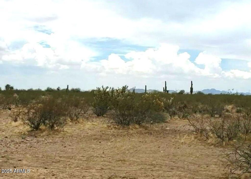 218XX W Galvin Street W 4, Wittmann, AZ 85361 — photo 4