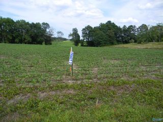 Lot 3 County Road 40, Centre, AL 35959