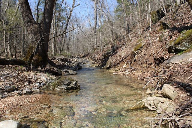 2240 Mease Drive, Reeds Spring, MO 65737