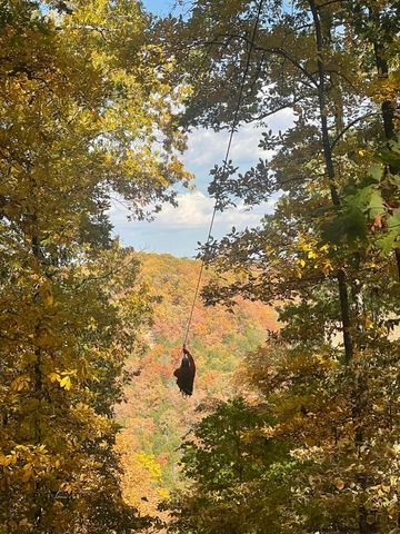 2240 Mease Drive, Reeds Spring, MO 65737