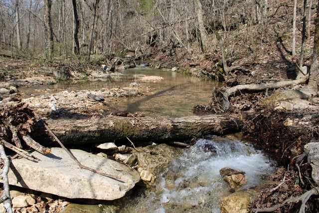 2240 Mease Drive, Reeds Spring, MO 65737