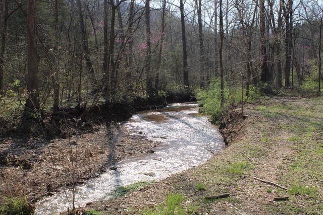 2240 Mease Drive, Reeds Spring, MO 65737