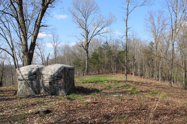 2240 Mease Drive, Reeds Spring, MO 65737