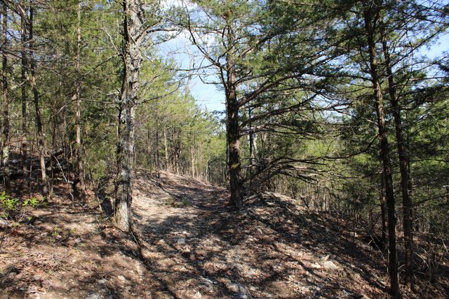 2240 Mease Drive, Reeds Spring, MO 65737