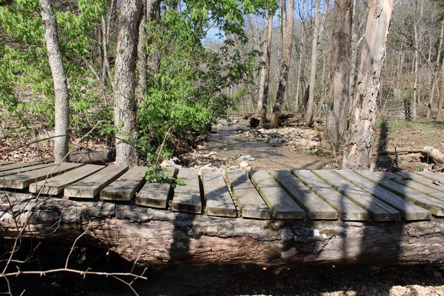 2240 Mease Drive, Reeds Spring, MO 65737