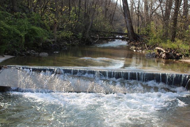 2240 Mease Drive, Reeds Spring, MO 65737