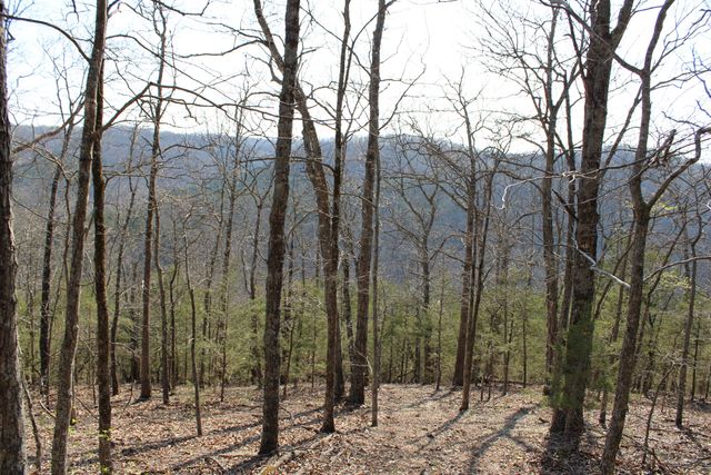 2240 Mease Drive, Reeds Spring, MO 65737