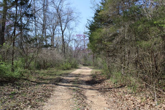 2240 Mease Drive, Reeds Spring, MO 65737