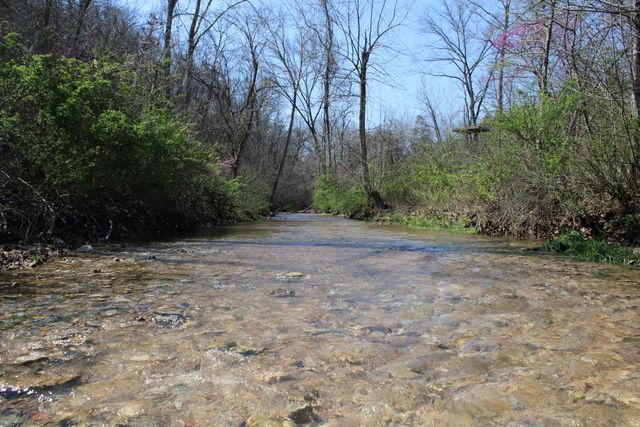 2240 Mease Drive, Reeds Spring, MO 65737