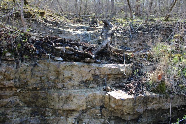 2240 Mease Drive, Reeds Spring, MO 65737