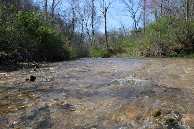 2240 Mease Drive, Reeds Spring, MO 65737