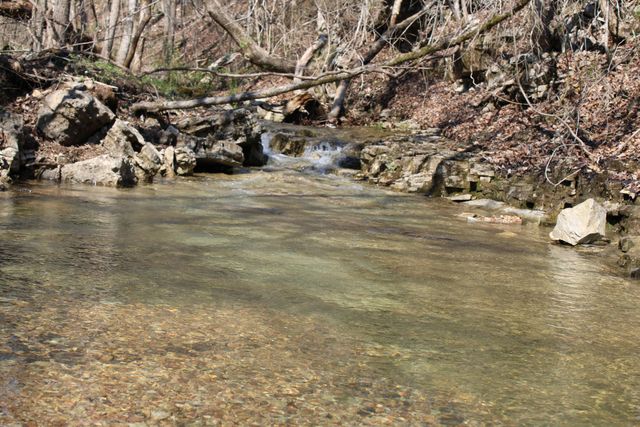 2240 Mease Drive, Reeds Spring, MO 65737