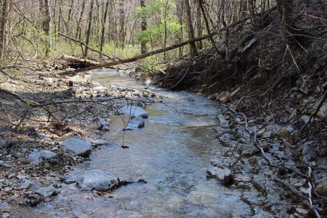 2240 Mease Drive, Reeds Spring, MO 65737