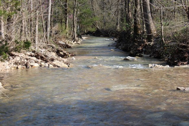 2240 Mease Drive, Reeds Spring, MO 65737