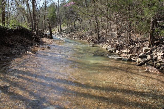 2240 Mease Drive, Reeds Spring, MO 65737