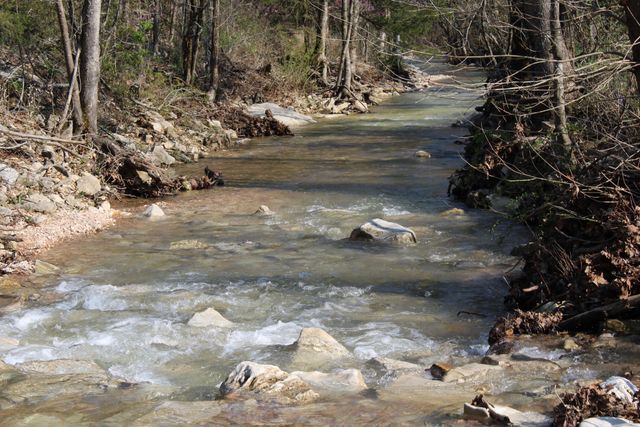 2240 Mease Drive, Reeds Spring, MO 65737